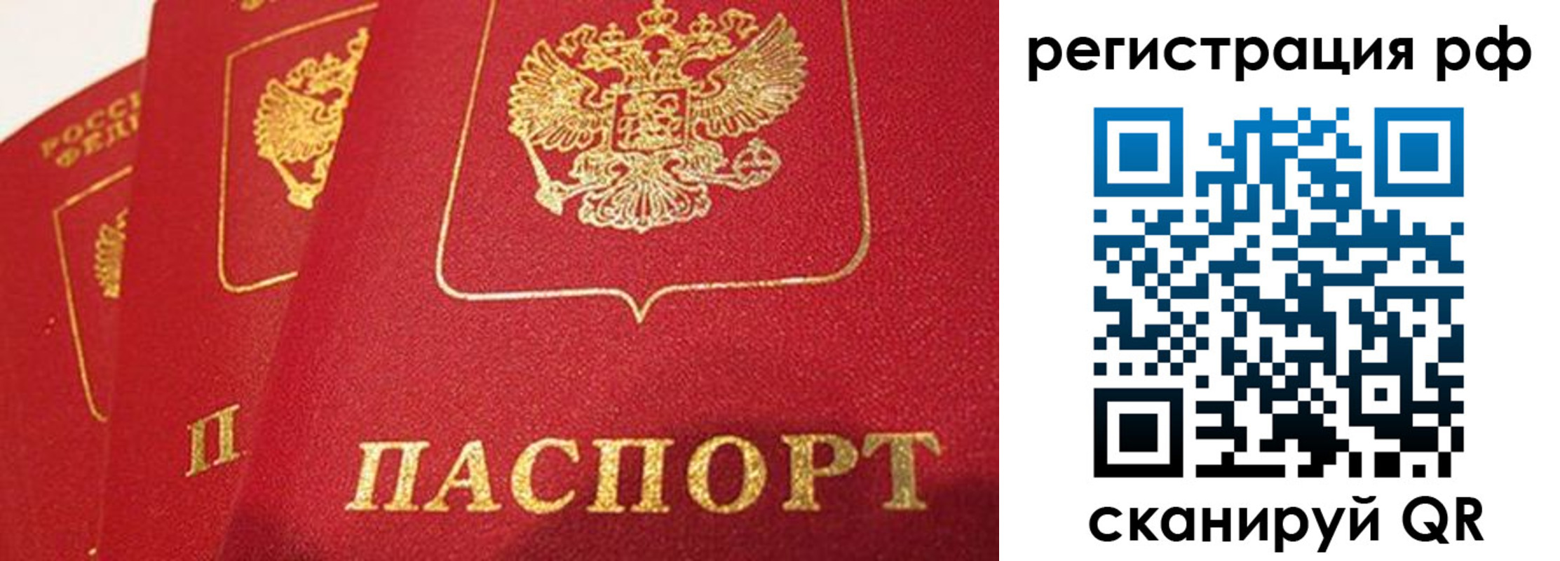 прописка поиск в Биробиджане